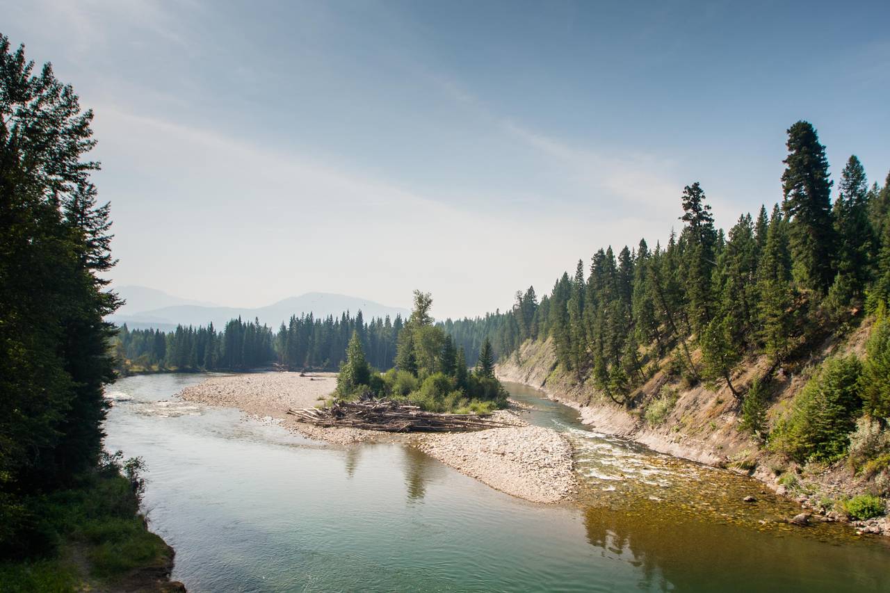 Adrift on the Elk Floating British Columbia's Elk River Hatch